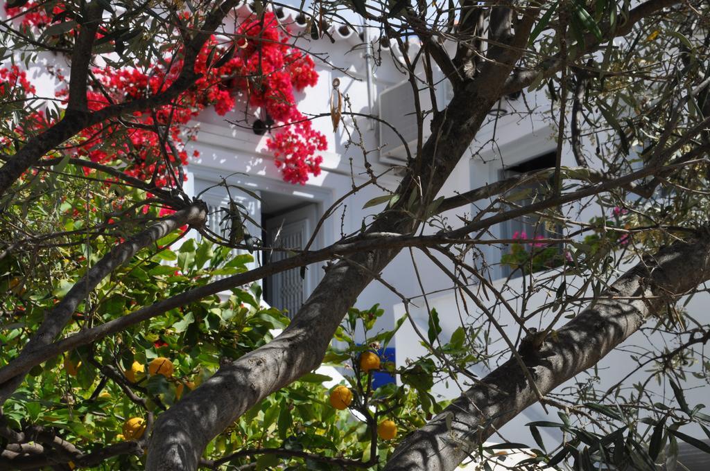 Villa Christina Spétses Exterior foto